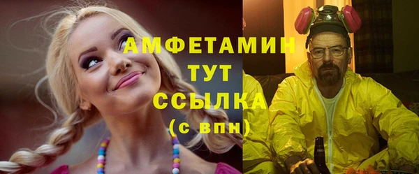 прущие грибы Верея