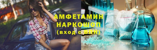 прущие грибы Верея