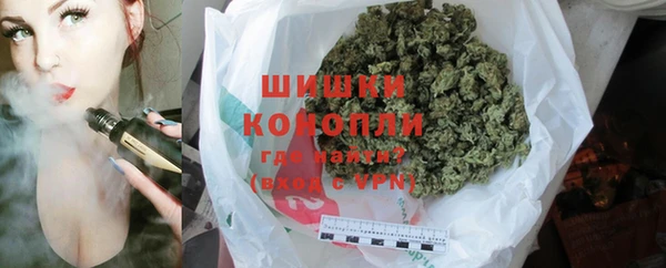 прущие грибы Верея