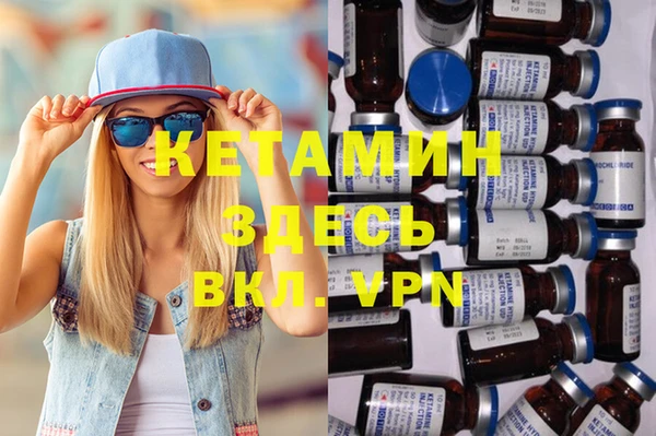 прущие грибы Верея