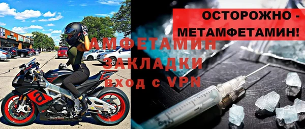 прущие грибы Верея
