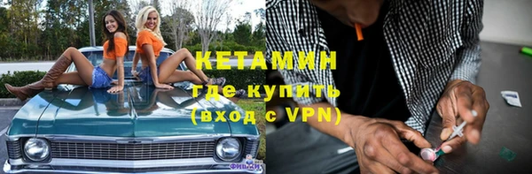 прущие грибы Верея