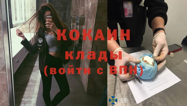 прущие грибы Верея